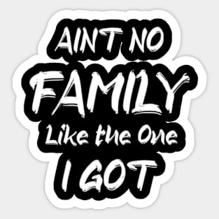 Aint No Family Like the One I Got Sticker